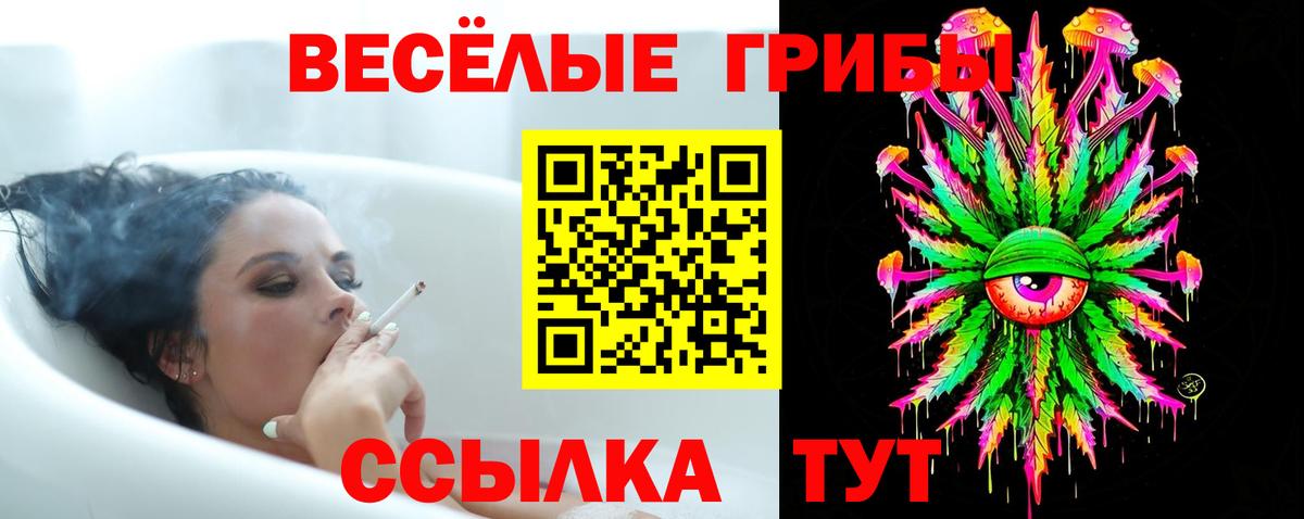Дедовск  Псилоцибиновые грибы Psilocybe  Псилоцибиновые грибы Psilocybine cubensis  Вход с VPN 